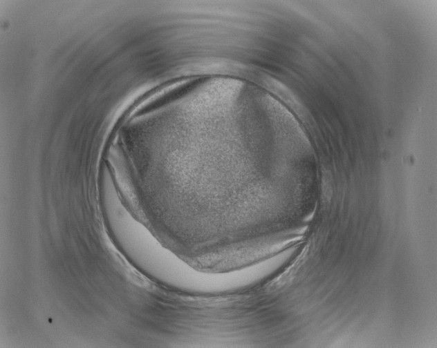 X0000065260996200603131158