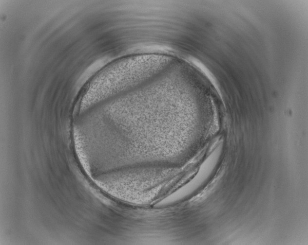 X0000065260997200603131158