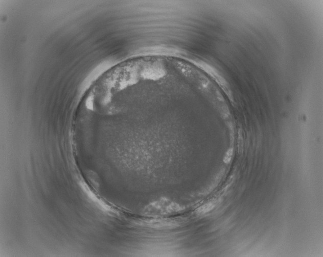 X0000065260998200603131158