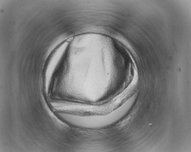 X0000065260999200603131158