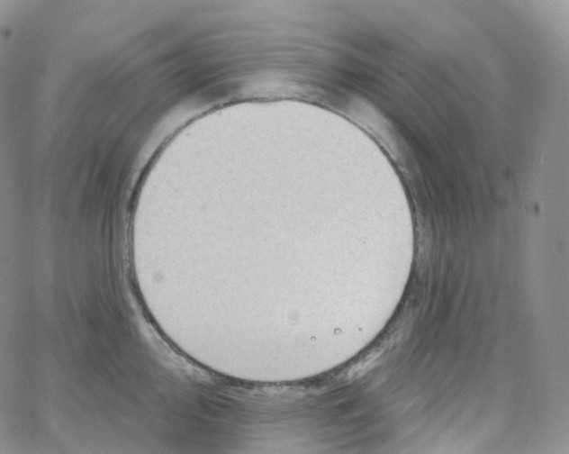 X0000065261000200603131158