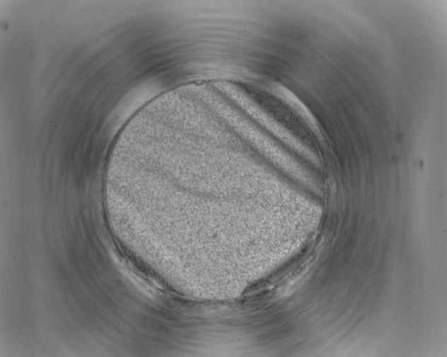 X0000065261002200603131158