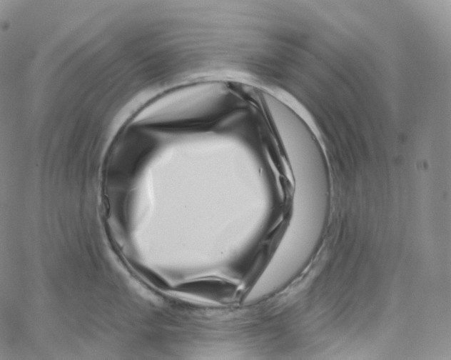 X0000065261005200603131158