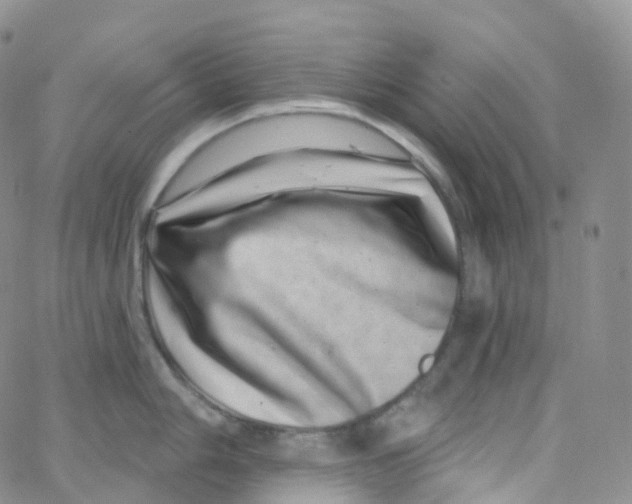 X0000065261006200603131158