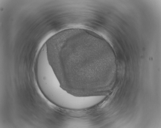 X0000065261007200603131158