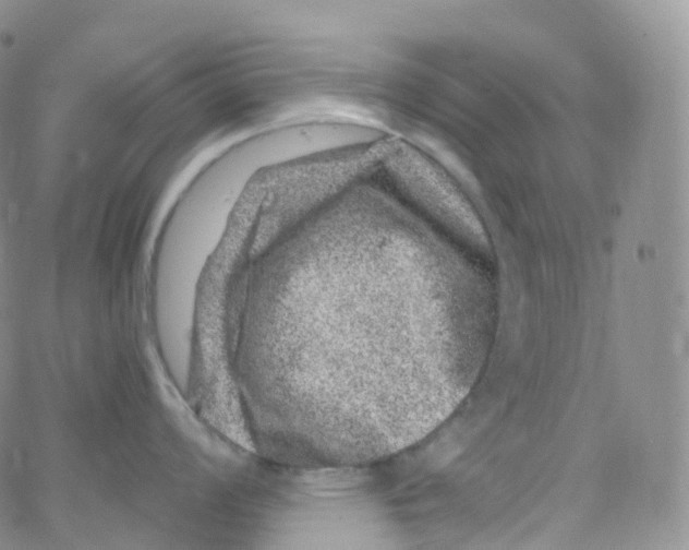 X0000065261008200603131158