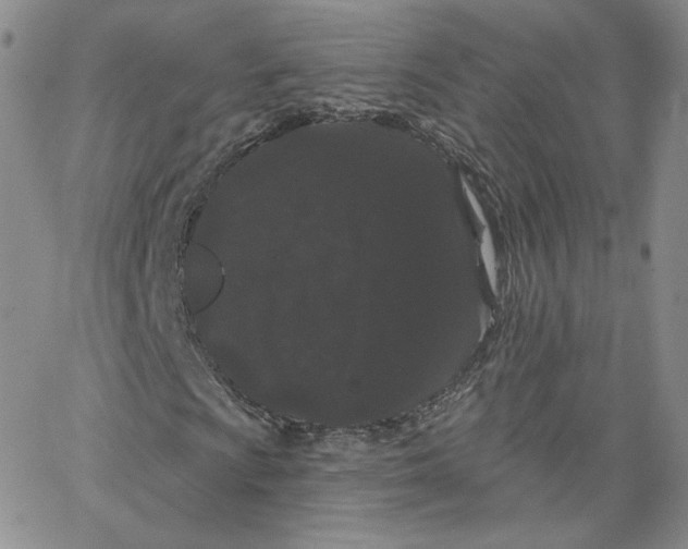 X0000065261009200603131157