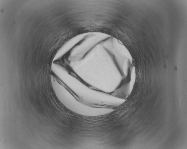 X0000065261012200603131157