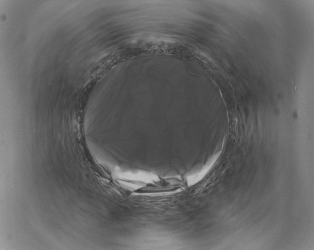 X0000065261013200603131157