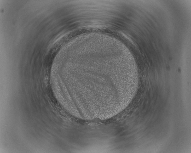 X0000065261015200603131157