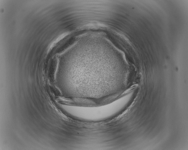 X0000065261018200603131157