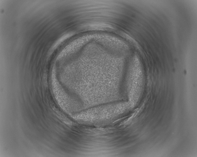 X0000065261019200603131157