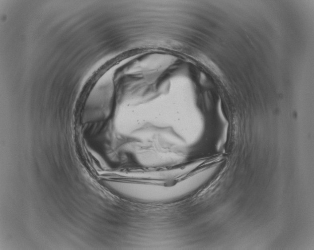 X0000065261020200603131157