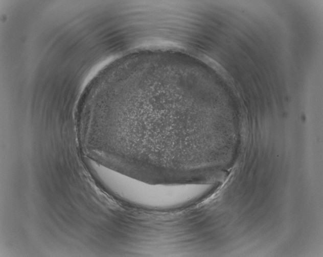 X0000065261022200603131157