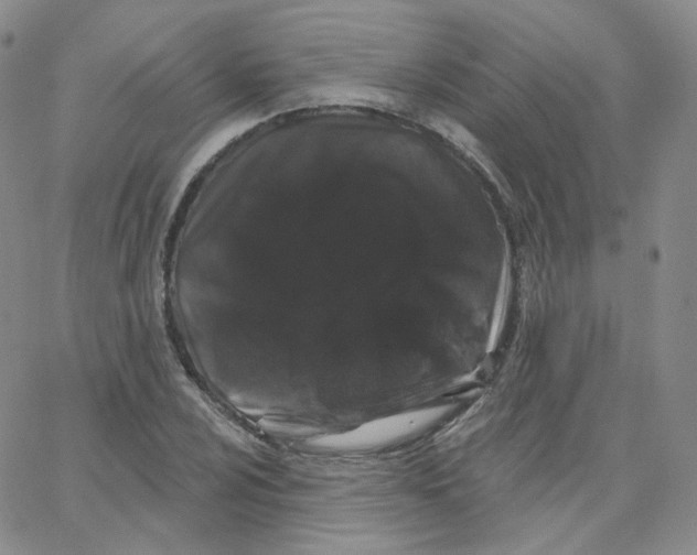 X0000065261024200603131157