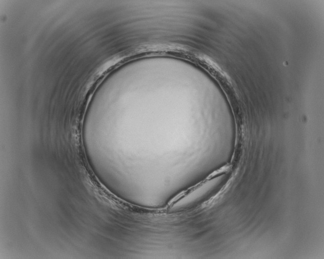 X0000065261025200603131157