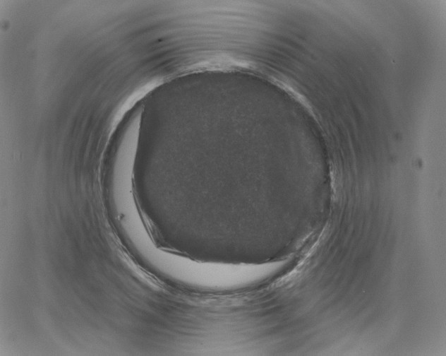 X0000065261026200603131157