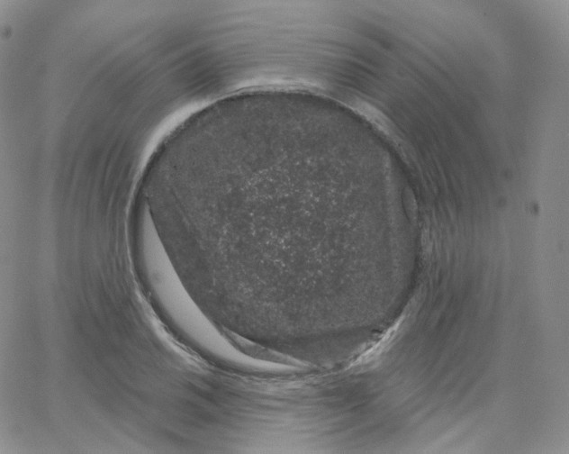 X0000065261030200603131157