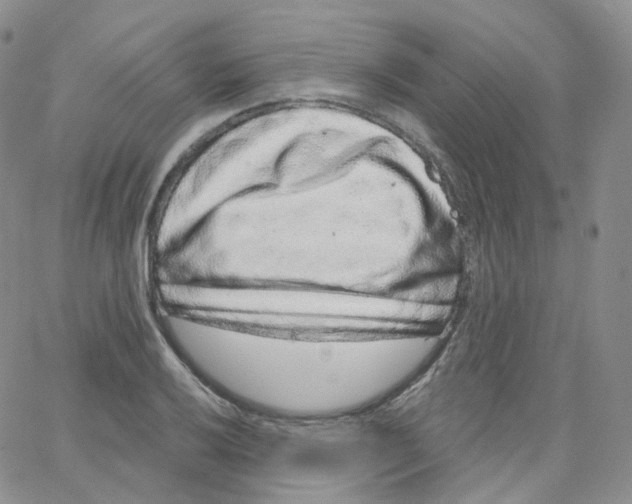 X0000065261032200603131157