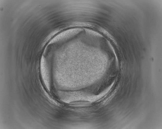 X0000065261033200603131157