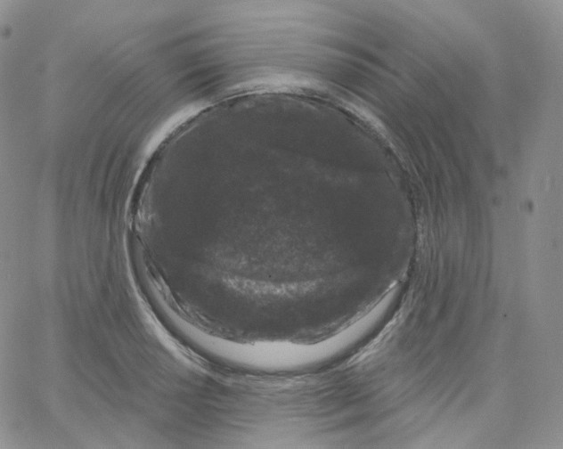 X0000065261034200603131157