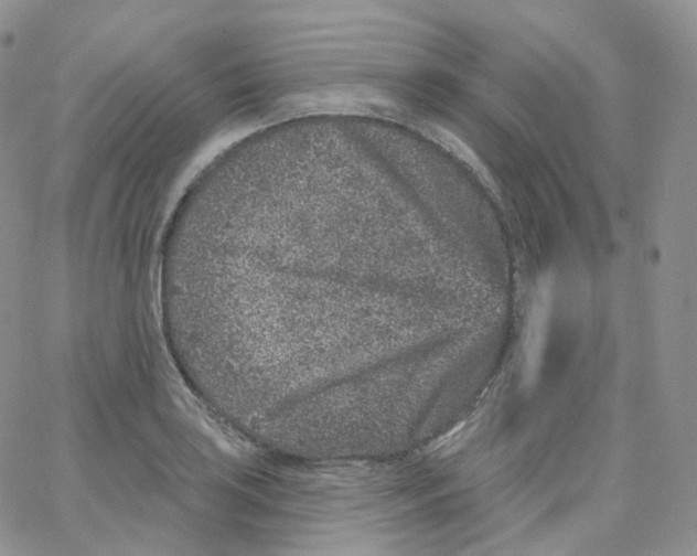 X0000065261035200603131157