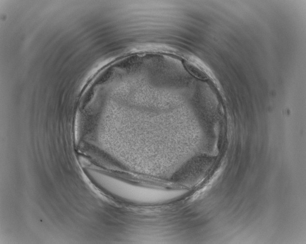 X0000065261041200603131157