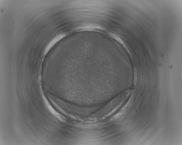 X0000065261042200603131157