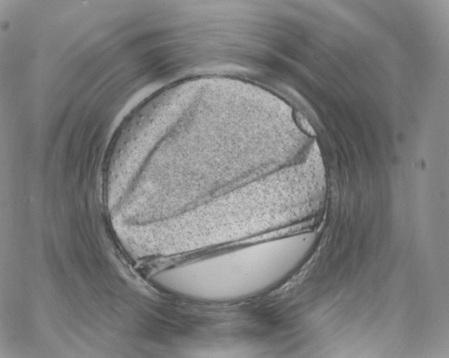 X0000065261044200603131157