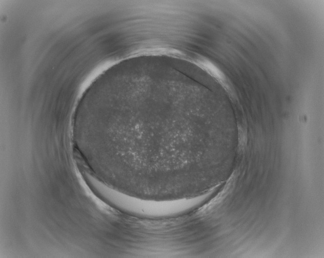 X0000065261046200603131157