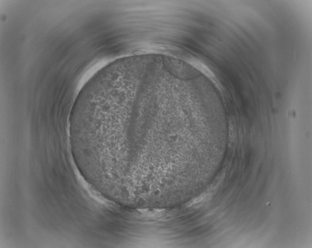 X0000065261047200603131157