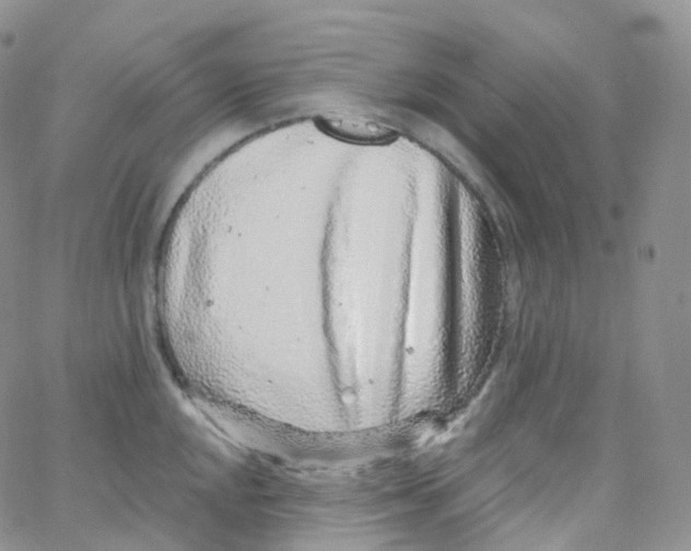 X0000065261048200603131157