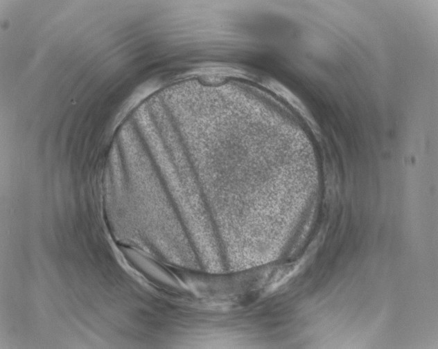 X0000065261049200603131157