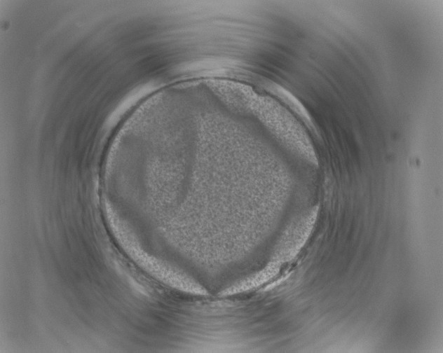 X0000065261051200603131157