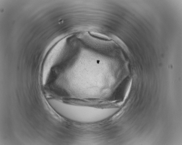 X0000065261052200603131157