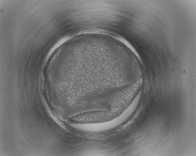 X0000065261053200603131158