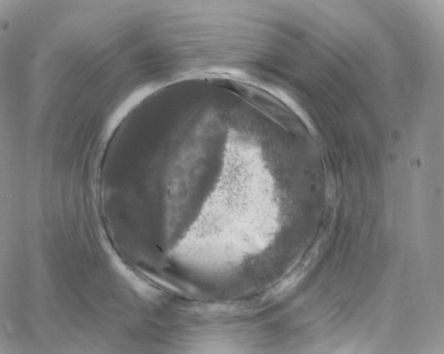 X0000065261054200603131158