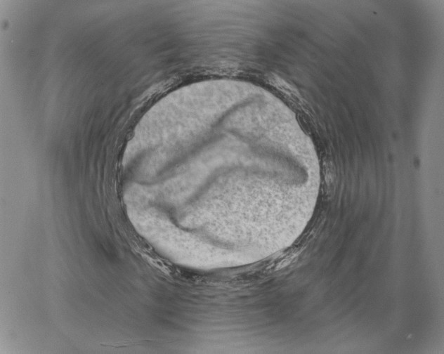 X0000065261057200603131157