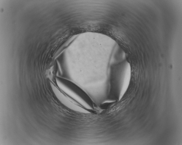 X0000065261058200603131157