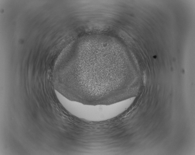 X0000065261059200603131157