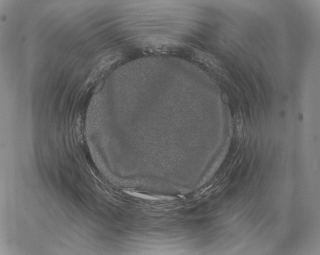 X0000065261060200603131157