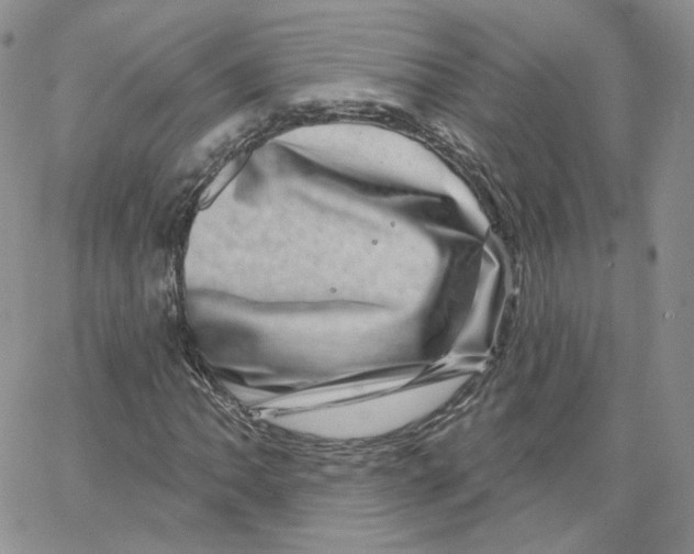 X0000065261062200603131157