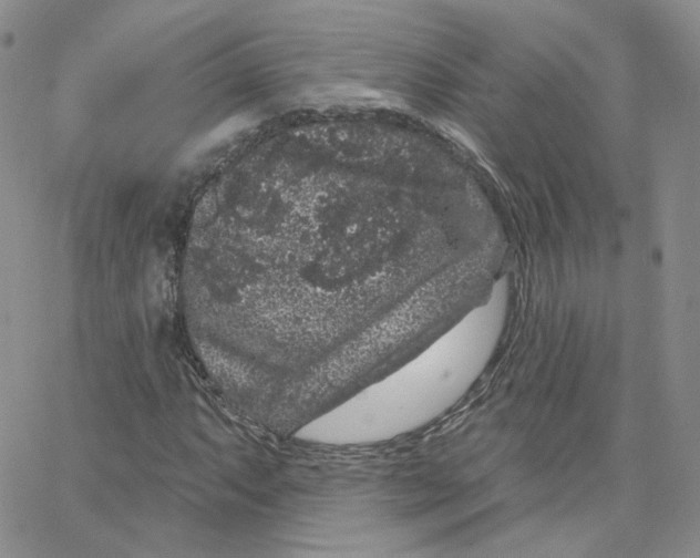 X0000065261063200603131157