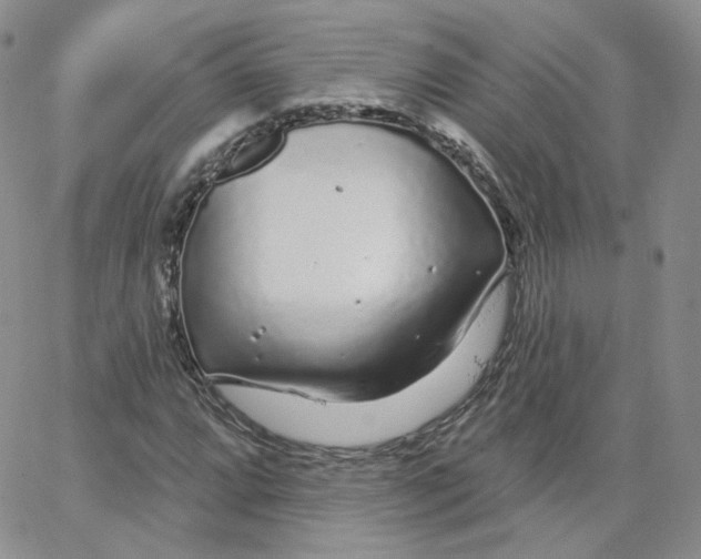 X0000065261064200603131157