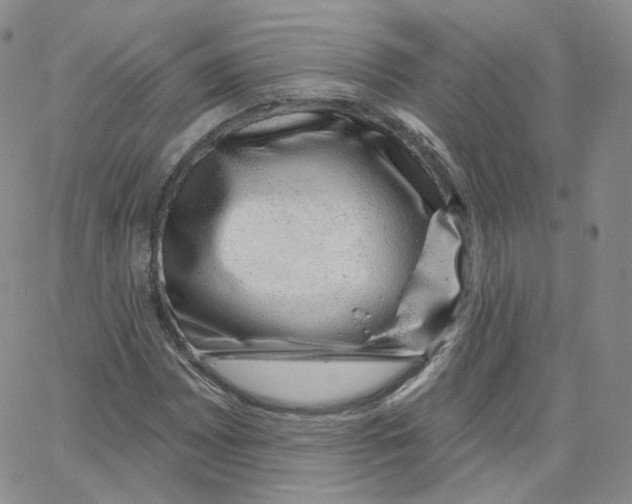 X0000065261065200603131157