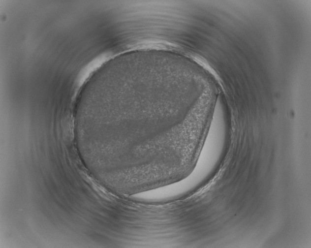 X0000065261067200603131157