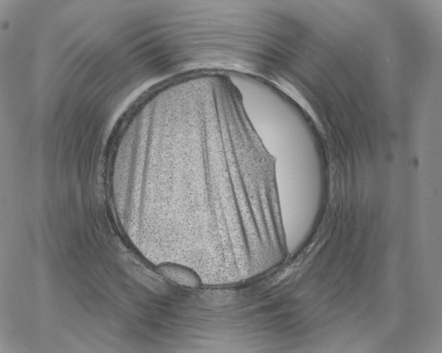 X0000065261068200603131157