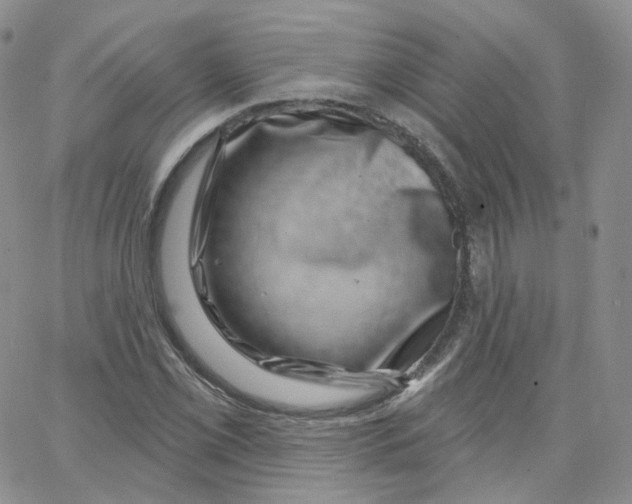 X0000065261069200603131157