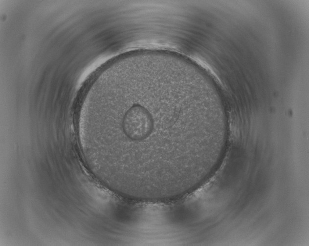 X0000065261070200603131157