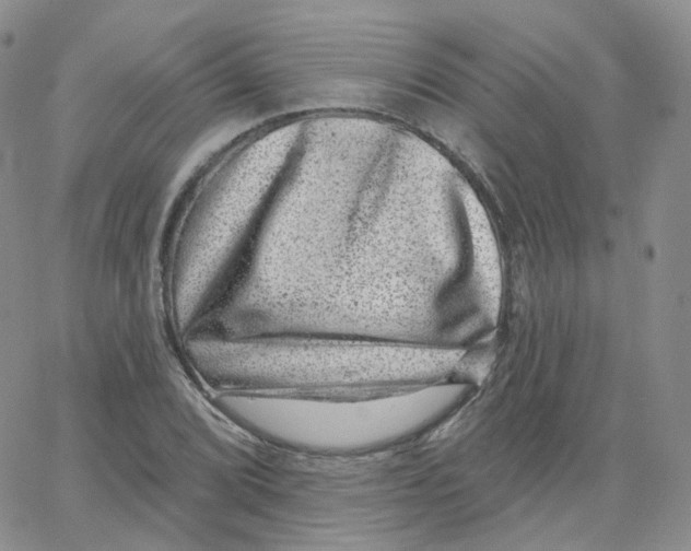 X0000065261072200603131157